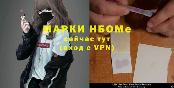 прущий лед Богданович