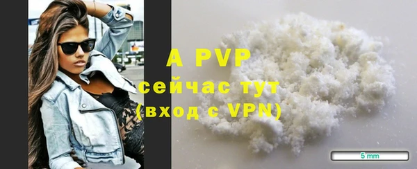прущий лед Богданович