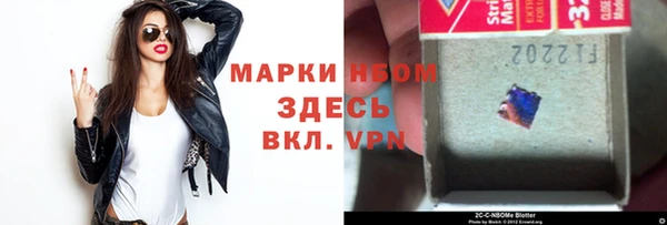 прущий лед Богданович