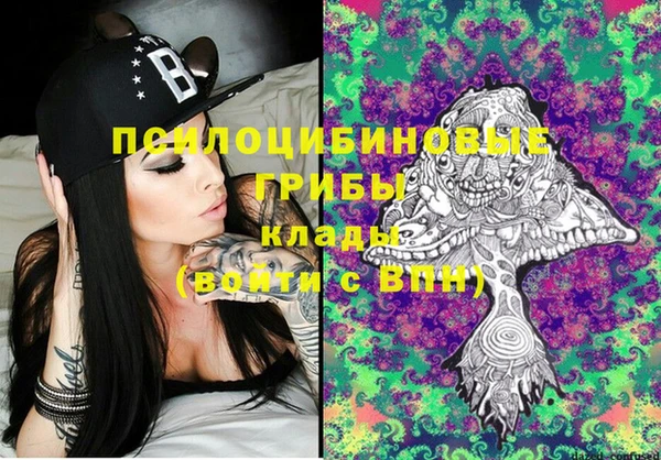 2c-b Богородицк