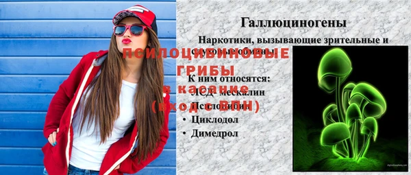 прущий лед Богданович