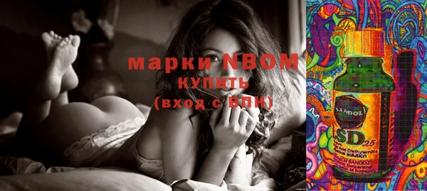 2c-b Богородицк