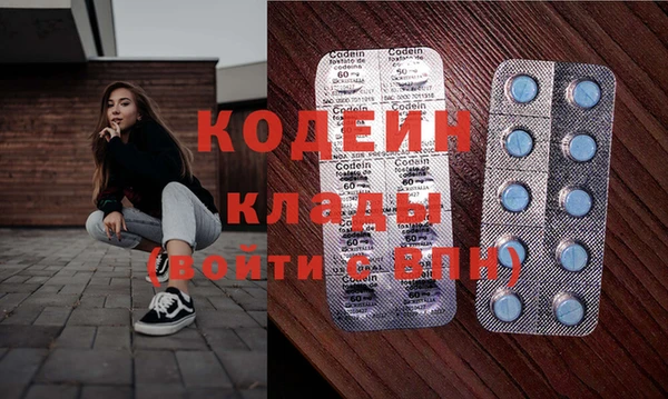 прущий лед Богданович