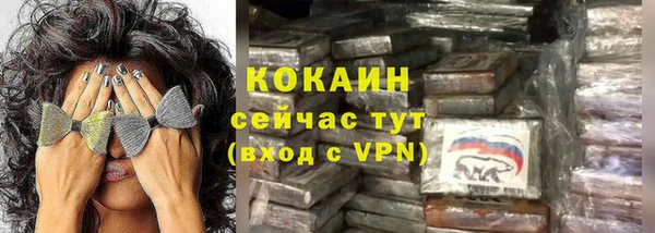 прущие грибы Богородск