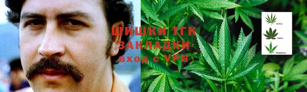 прущий лед Богданович