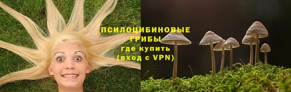 прущие грибы Богородск