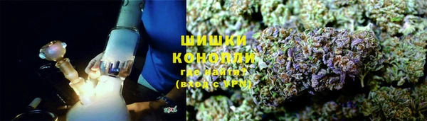 прущий лед Богданович