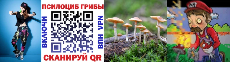 Купить  Глазов  Псилоцибиновые грибы Magic Shrooms 